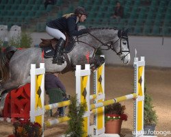 broodmare Coco Couture (Westphalian, 2009, from Cornado NRW)