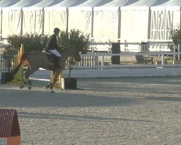 MET II Oliva - Woche 2 (ESP) 2020