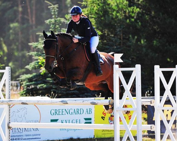 broodmare Caramba (Hanoverian, 2003, from Compliment)