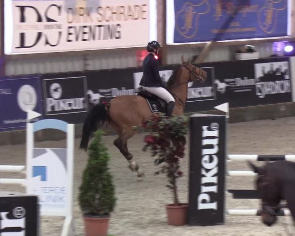 Nordic Jumping events 2020: Turnierergebnisse + Videos