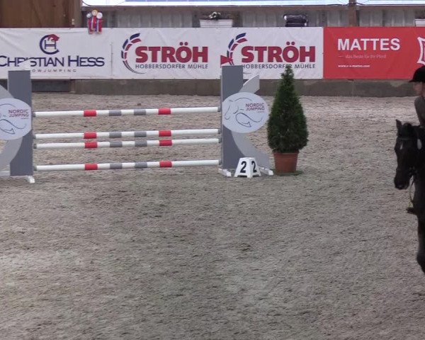 Nordic Jumping events 2020: Turnierergebnisse + Videos