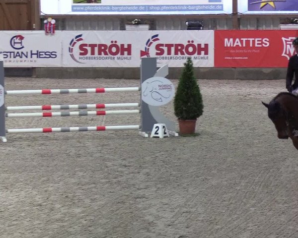 Nordic Jumping events 2020: Turnierergebnisse + Videos
