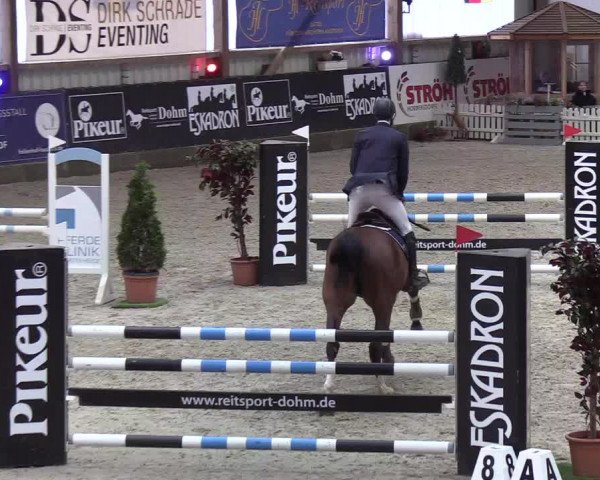 Nordic Jumping events 2020: Turnierergebnisse + Videos
