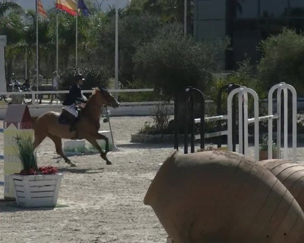 MET II Oliva - Woche 2 (ESP) 2020