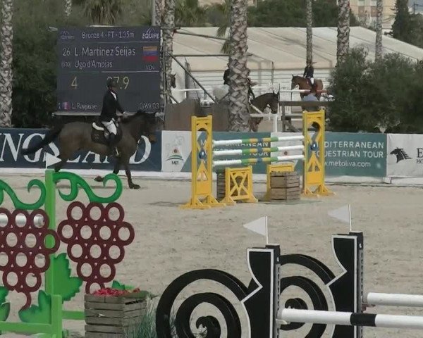 MET II Oliva - Woche 3 (ESP) 2020