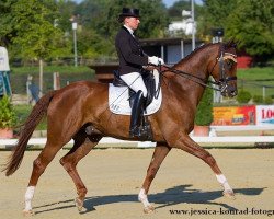 dressage horse Fider's Firefly (Hanoverian, 2007, from Fidertanz)