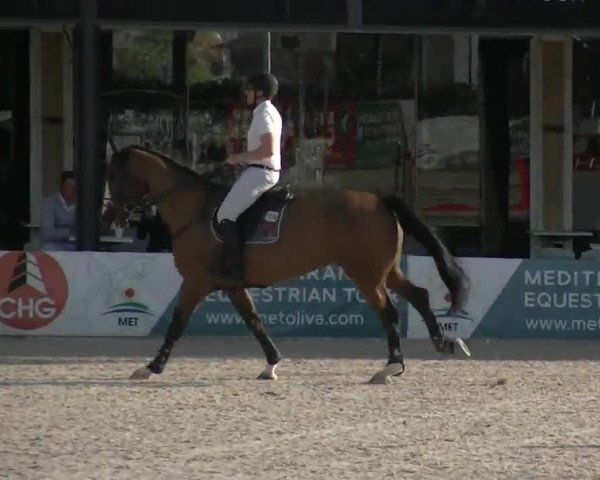 MET II Oliva - Woche 3 (ESP) 2020