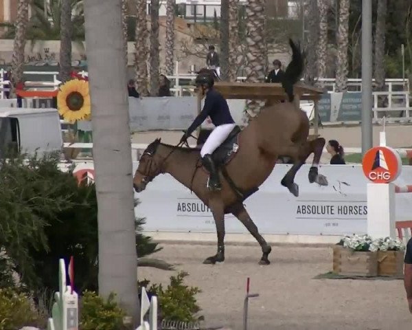 MET II Oliva - Woche 3 (ESP) 2020