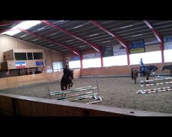 jumper Merle (German Riding Pony, 1999, from Lord)