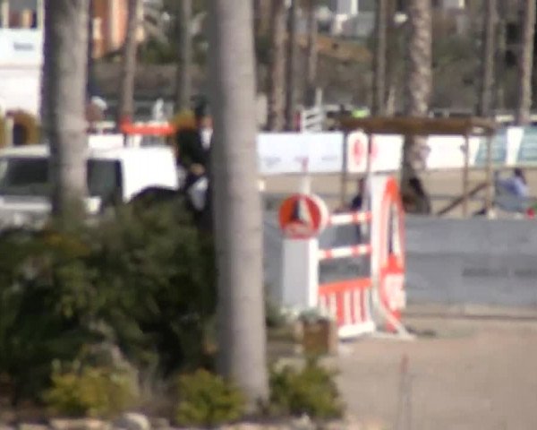 MET II Oliva - Woche 3 (ESP) 2020