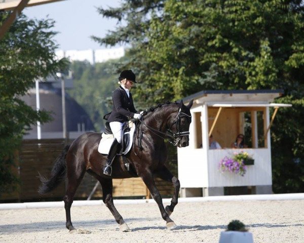dressage horse Roksanna S (Hanoverian, 2003, from Rotspon)