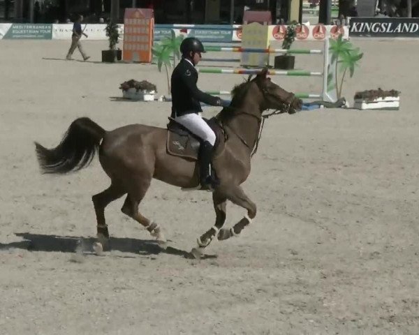 MET II Oliva - Woche 3 (ESP) 2020