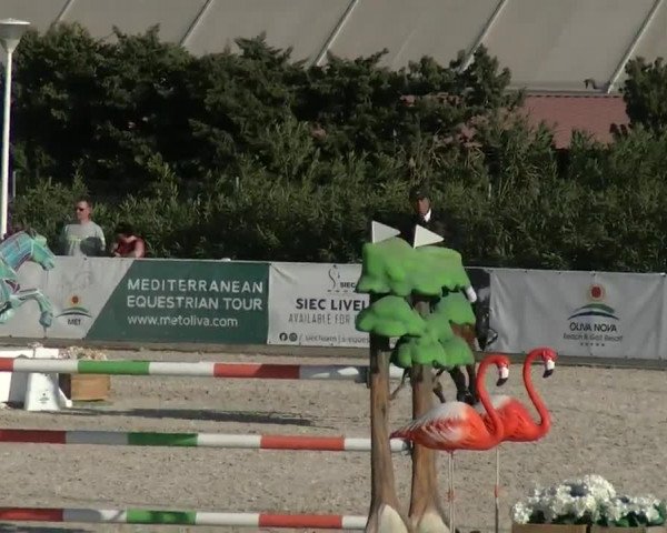 MET II Oliva - Woche 3 (ESP) 2020
