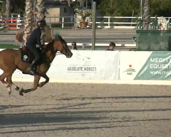 MET II Oliva - Woche 3 (ESP) 2020