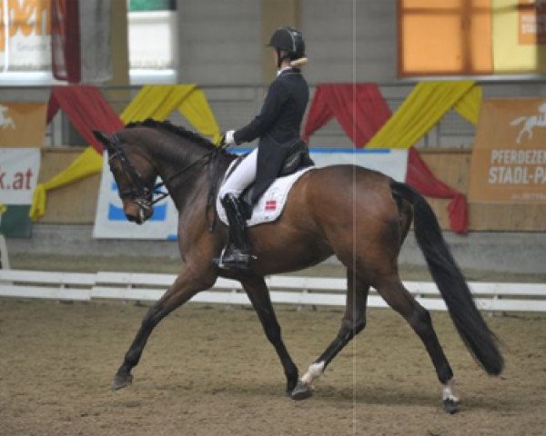 dressage horse Ramia Lox (Danish Warmblood, 2005, from Blue Hors Romanov)