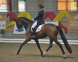 dressage horse Ramia Lox (Danish Warmblood, 2005, from Blue Hors Romanov)