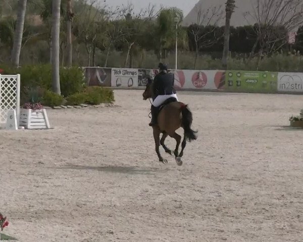 MET II Oliva - Woche 3 (ESP) 2020