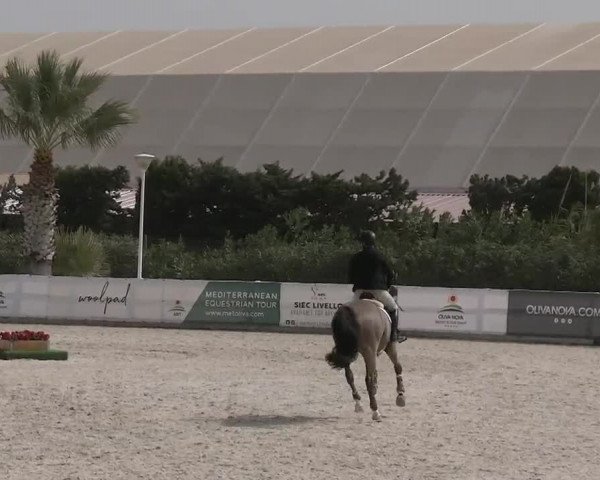 MET II Oliva - Woche 3 (ESP) 2020