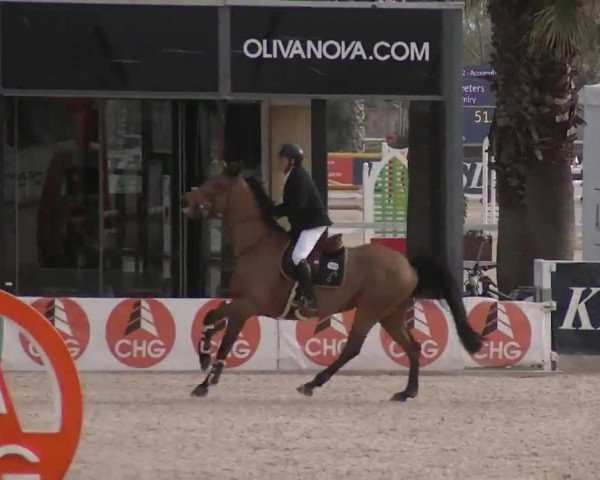 MET II Oliva - Woche 3 (ESP) 2020
