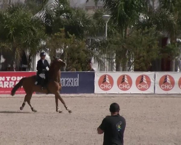 MET II Oliva - Woche 3 (ESP) 2020