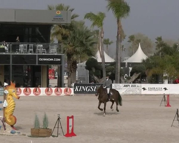 MET II Oliva - Woche 3 (ESP) 2020