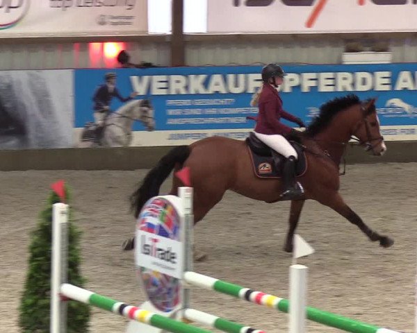 Nordic Jumping events 2020: Turnierergebnisse + Videos