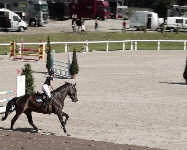 Pferdesporttage Bülach 2021