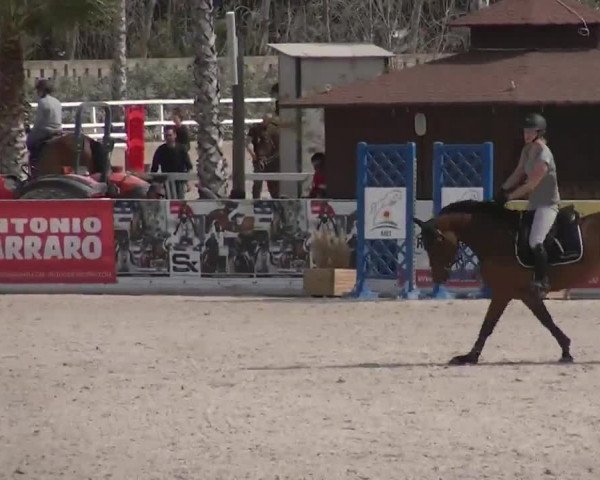 MET II Oliva - Woche 3 (ESP) 2020