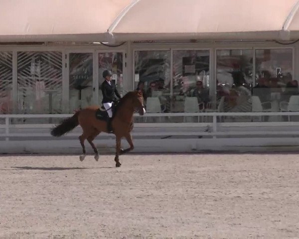 MET II Oliva - Woche 3 (ESP) 2020