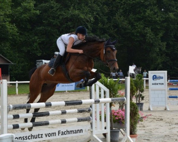 jumper Feline 107 (Westphalian, 2008, from Florubin)
