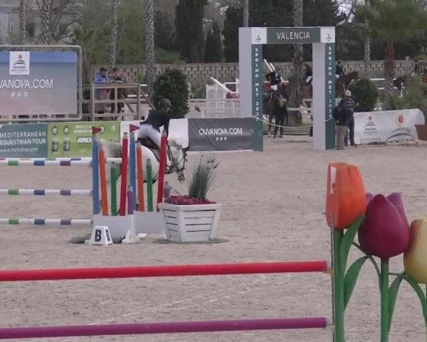 MET II Oliva - Woche 3 (ESP) 2020