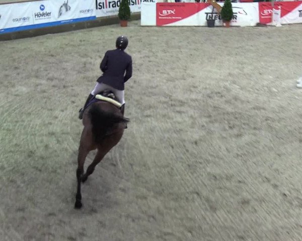 Nordic Jumping events 2020: Turnierergebnisse + Videos