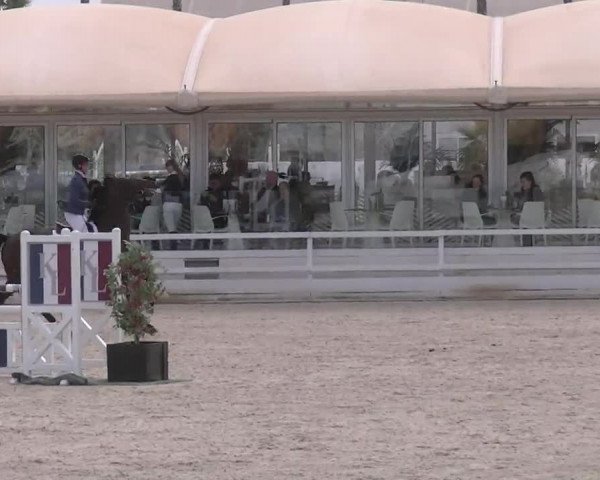 MET II Oliva - Woche 3 (ESP) 2020