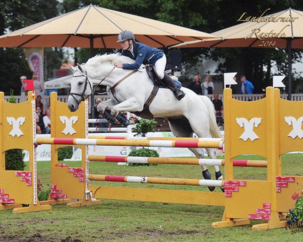 jumper Lucky 1504 (Mecklenburg, 2006, from Lasirko)