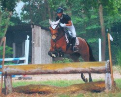 jumper Trixie 123 (Pony without race description, 2007)