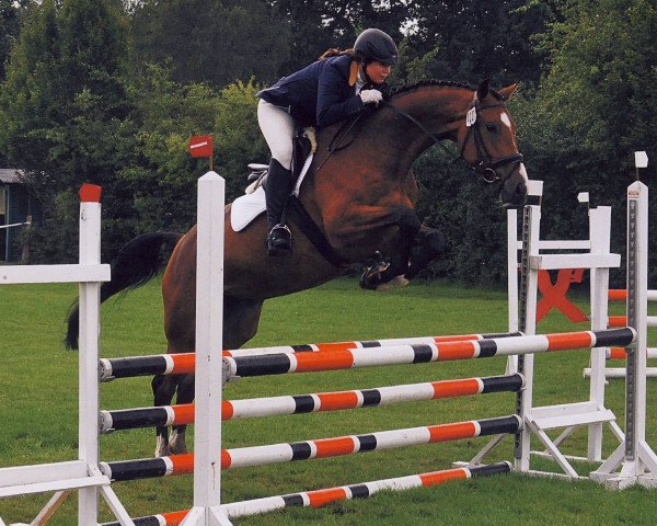 jumper Countess Glory (Hanoverian, 2010, from Count Grannus)