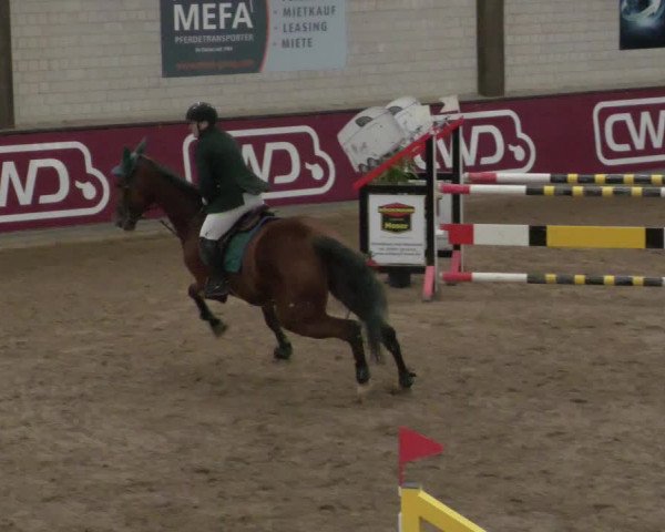Reitturnier Heilbronn 2021
