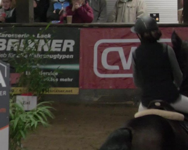 Reitturnier Heilbronn 2021