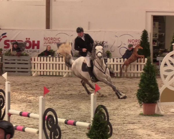 Nordic Jumping events 2020: Turnierergebnisse + Videos