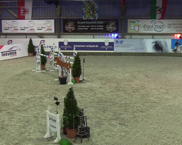 Nordic Jumping events 2020: Turnierergebnisse + Videos