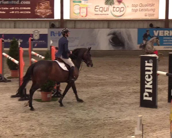Nordic Jumping events 2020: Turnierergebnisse + Videos