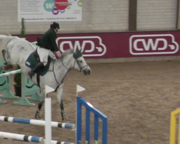 Reitturnier Heilbronn 2021