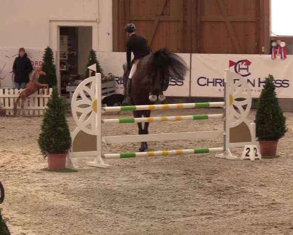 Nordic Jumping events 2020: Turnierergebnisse + Videos