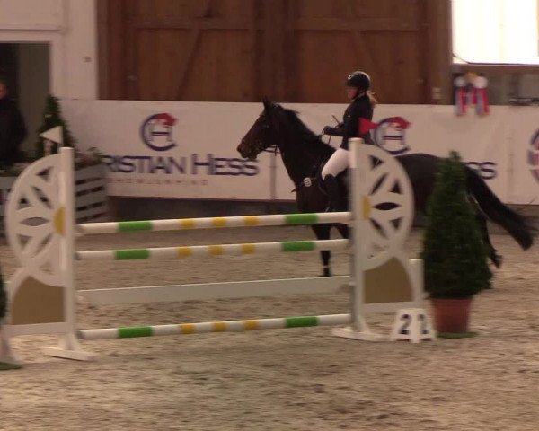 Nordic Jumping events 2020: Turnierergebnisse + Videos