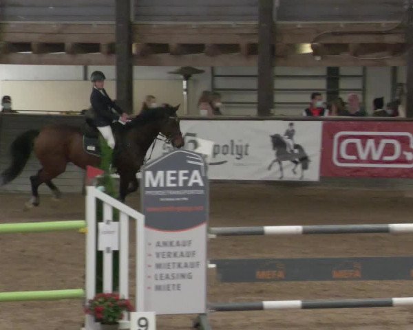 Reitturnier Heilbronn 2021