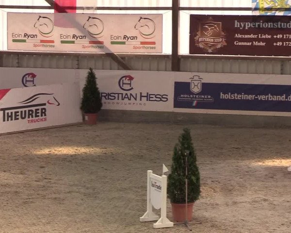 Nordic Jumping events 2020: Turnierergebnisse + Videos