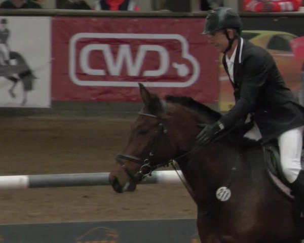 Reitturnier Heilbronn 2021