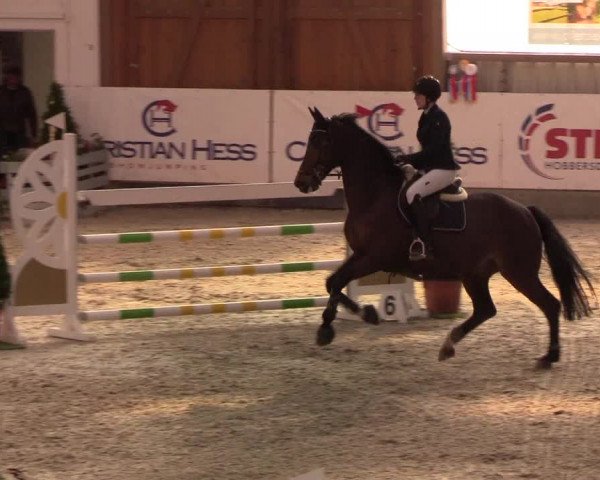 Nordic Jumping events 2020: Turnierergebnisse + Videos