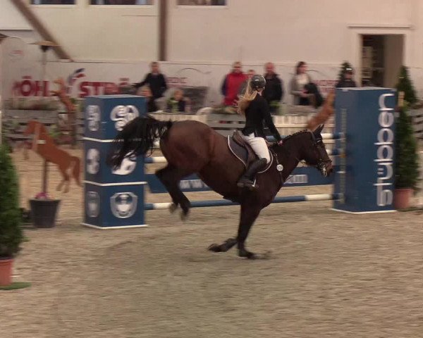 Nordic Jumping events 2020: Turnierergebnisse + Videos