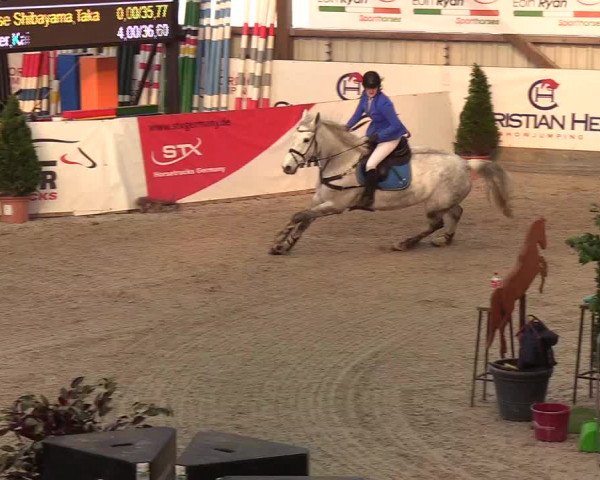 Nordic Jumping events 2020: Turnierergebnisse + Videos